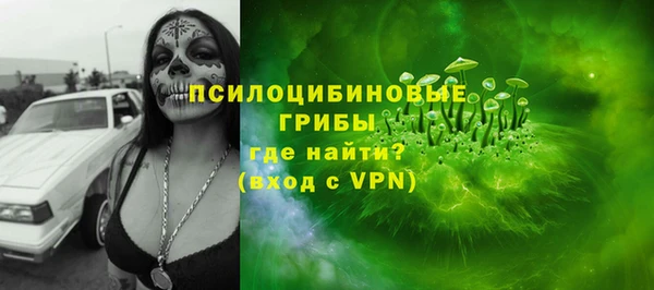 ГАЛЛЮЦИНОГЕННЫЕ ГРИБЫ Дмитриев