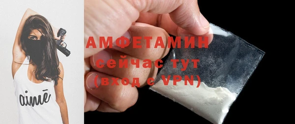 шишки Абинск
