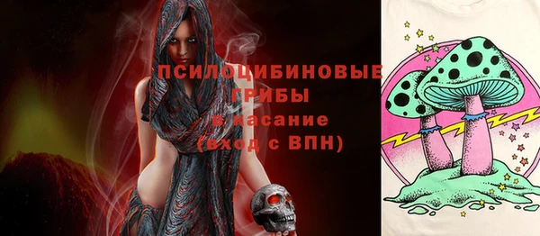 шишки Абинск